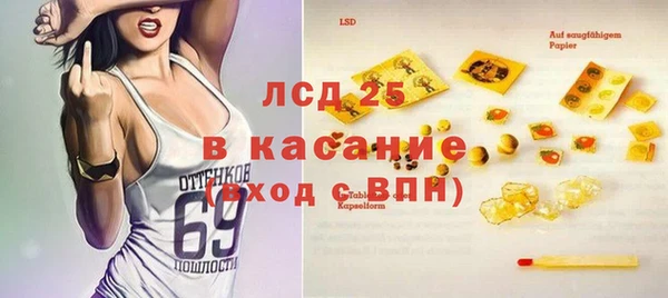 гидра Покачи