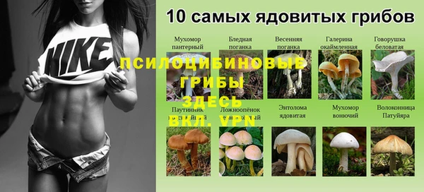 винт Алексин
